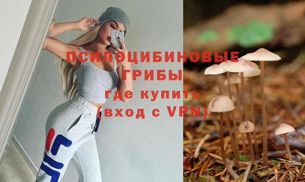 наркотики Белокуриха