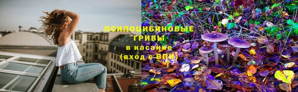 наркотики Белокуриха
